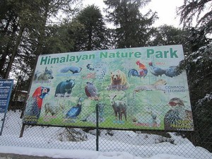 Himalayan Nature Park / Kufri Zoo