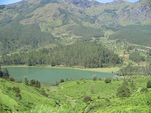 Munnar Places to visit