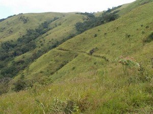 wayanad tourist places near kalpetta