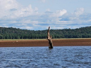 mysore tiger safari