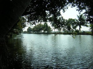 places to visit within bangalore