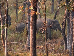 mysore tourist places near me within 50 kms