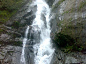 Meenvallam Waterfalls, Near Palakkad