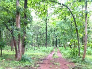 Eturnagaram Sanctuary, Near Ramappa Temple