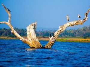 Kolitmara Jeep Safari