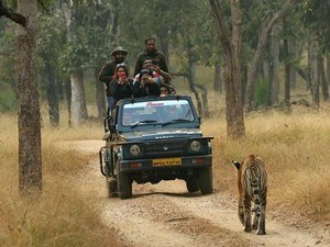 Jamtara Jeep Safari