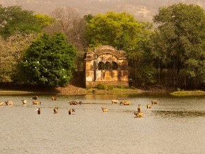 14 Best Places To Visit In Ranthambore National Park, Things To Do ...