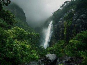 Tamhini Ghat