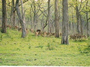 Bandipur National Park Tourist Places