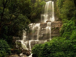 Jhari Falls / Buttermilk Falls
