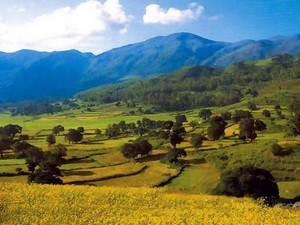 Araku Valley Places to visit