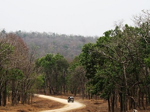 Sillari Jeep Safari