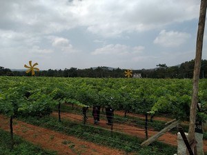 bike trip from bangalore within 150 km