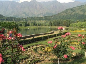 Jawaharlal Nehru Botanical Garden