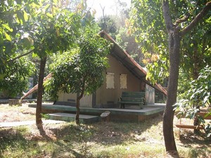 Bhagavathi Nature Camp