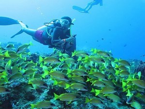 Scuba Diving In Bangaram