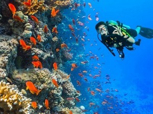 Scuba Diving In Kavaratti