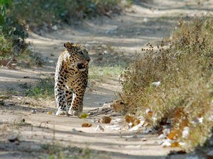 ahmedabad surrounding tourist places