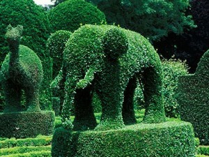 Topiary Park