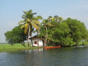 tourist places in kochi for one day trip