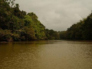 tourist place near calicut