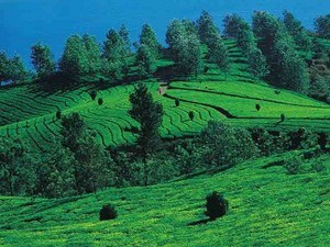 best tourist places kerala