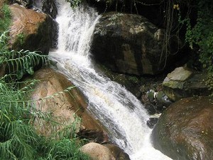 Law's Falls, Near Coonoor