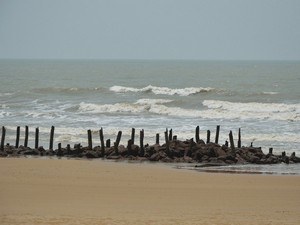 Shankarpur Beach