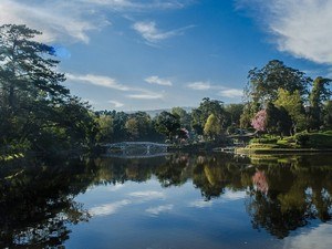 Wards Lake