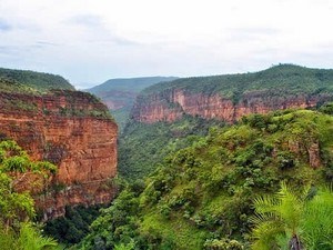 Sri Venkateswara Wildlife Sanctuary