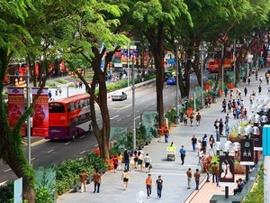 Singapore Orchard Road Night  Luxury Shopping District 