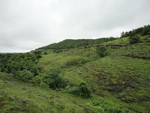 Anantagiri Hills