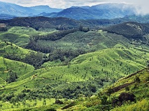 munnar to thekkady places to visit