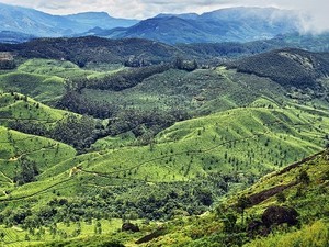 munnar trip route map