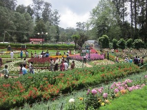 bangalore to kodaikanal places to visit