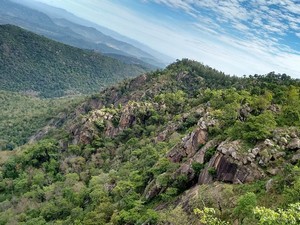 Karadiyoor / Karadiyur View Point