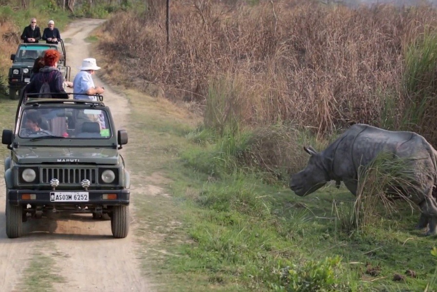 kaziranga national park jeep safari price