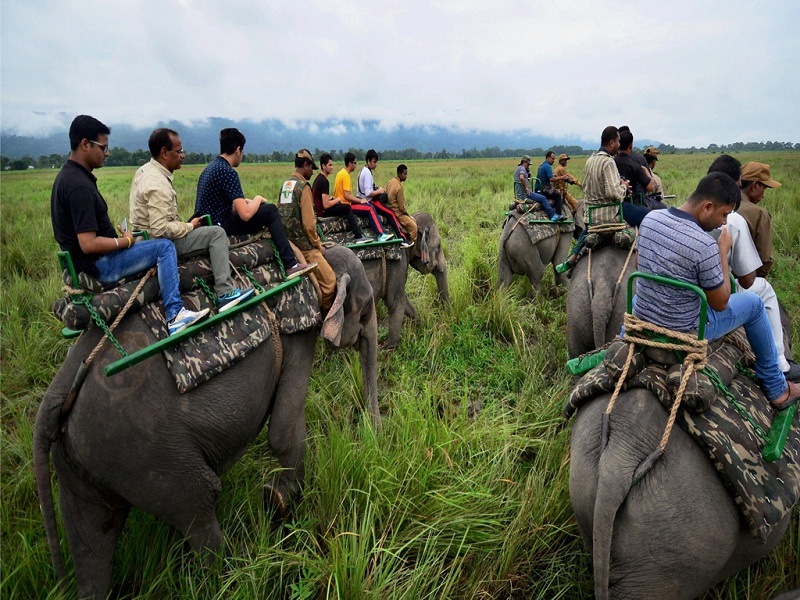 elephant safari timings in kaziranga