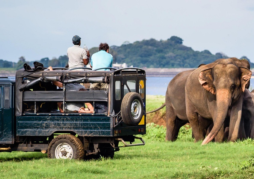 yala safari packages