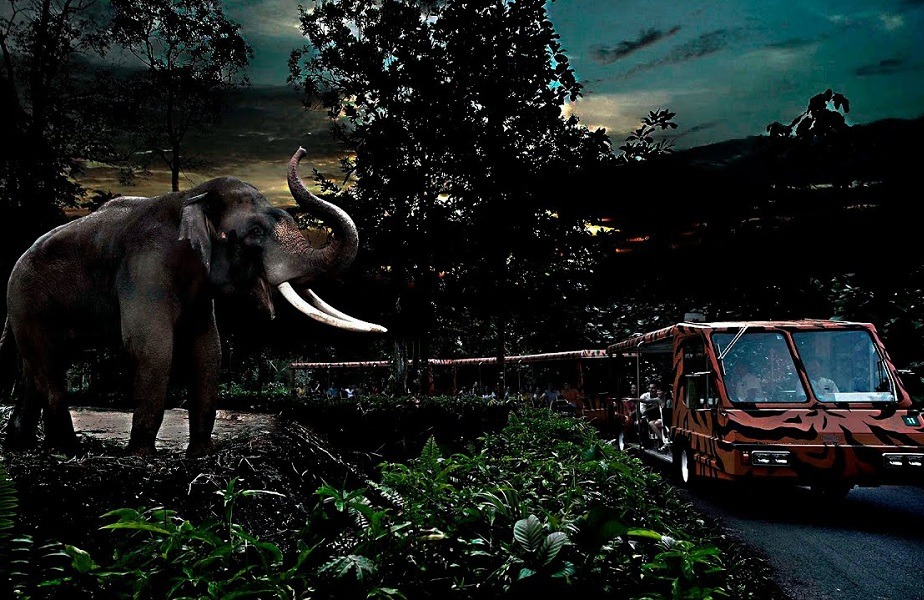 Night Safari Singapore Timings Safari Cost Best Time To Visit 