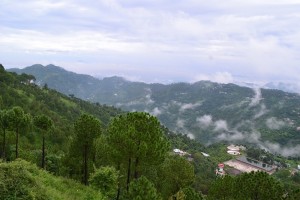 11 Top Hill Stations near Delhi for a Weekend Trip | Trawell Blog