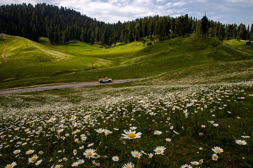 Gulmarg