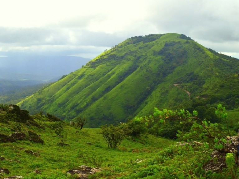 Chikmagalur 