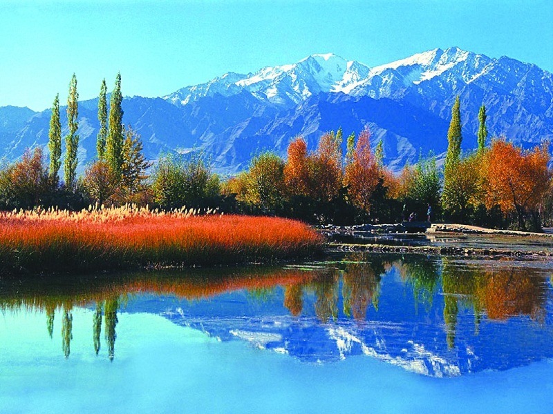 Srinagar