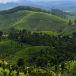 Valparai