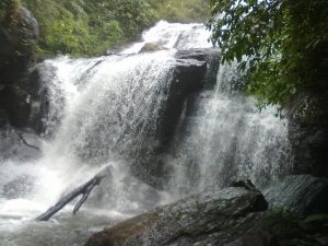 5 Stunning Waterfalls in Coorg that will Leave You Awestruck | Trawell Blog