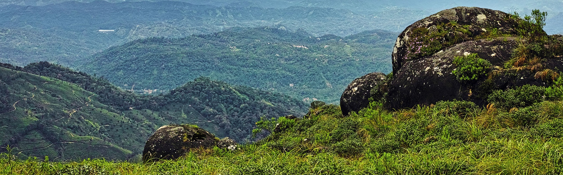 Munnar