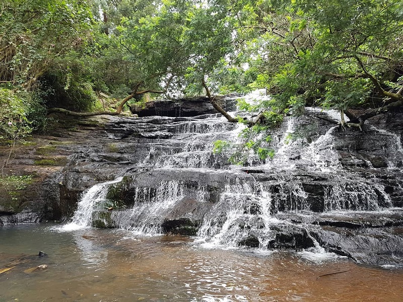 tamil nadu tourism kodaikanal