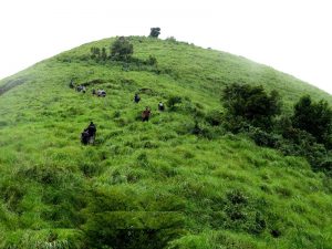 Brahmagiri_Peak_Trek_Main | Trawell Blog