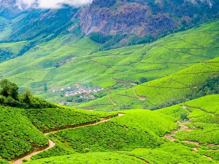 5 Most Stunning Tea Estates in Munnar | Trawell.in Blog